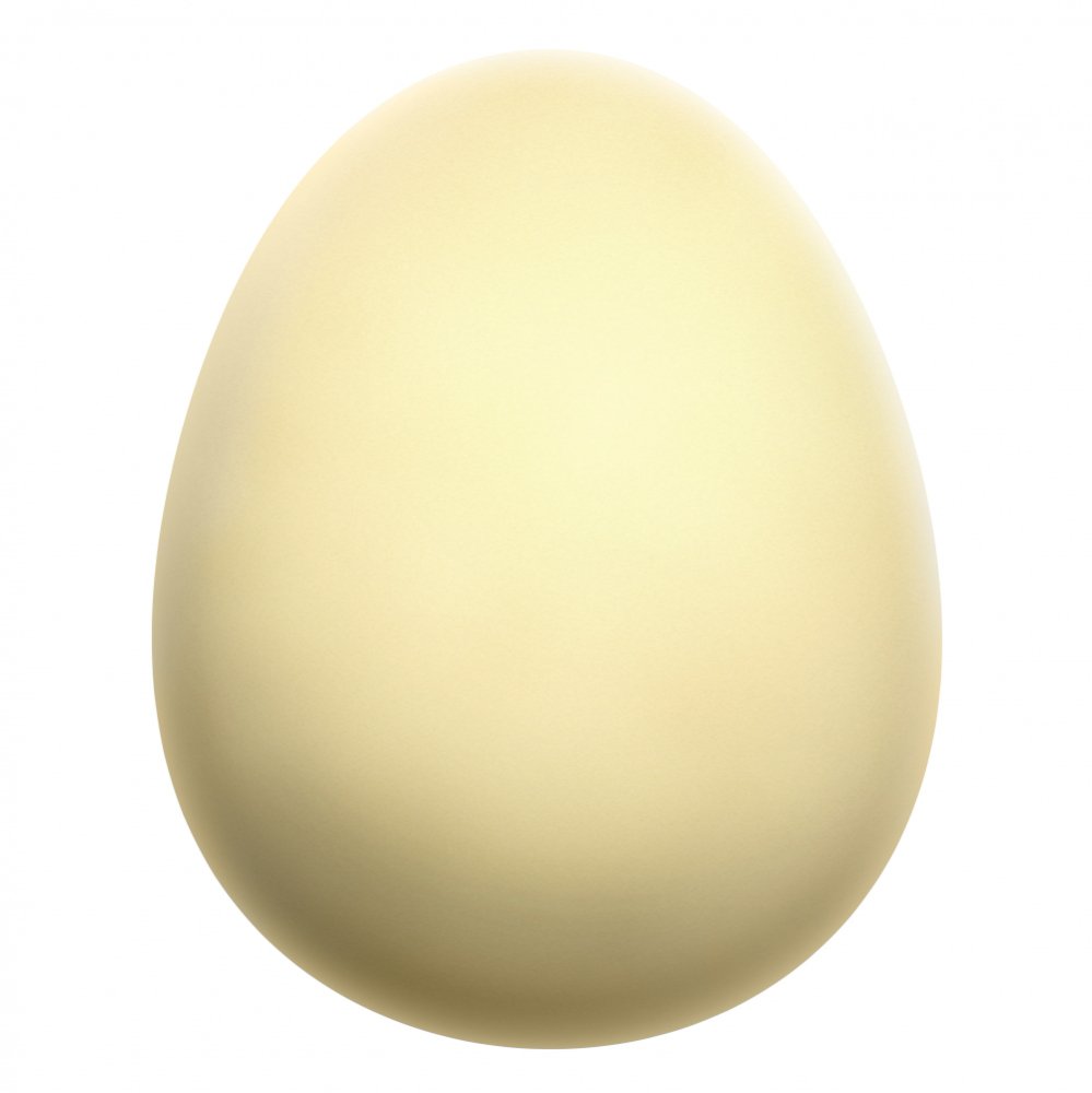 egg