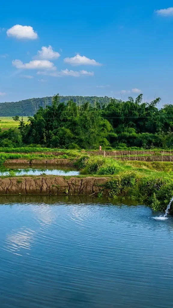 Vindhya agro farm
